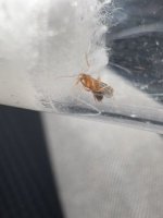 IMG_5211.jpeg