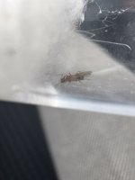 IMG_5209.jpeg