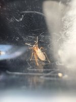 IMG_5208.jpeg