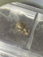 IMG_7428.jpeg