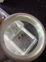 IMG_7433.jpeg