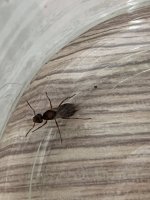 IMG_0792.jpeg