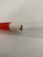 IMG_6491.jpeg