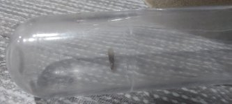 IMG-20250611-WA0002.jpg