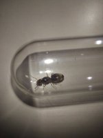 IMG_0922.jpeg