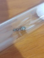 20250608_164647.jpg