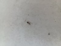 IMG_20250612_053533_248.jpg