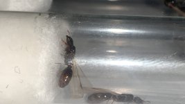 IMG_7008.jpeg