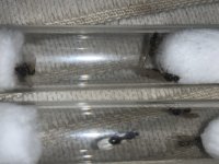 IMG_6965.jpeg