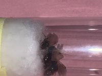IMG_7024.jpeg