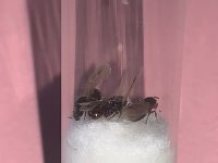IMG_7028.jpeg
