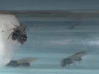 IMG_7022.jpeg
