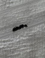 IMG_2353.jpeg
