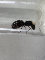 IMG_2346.jpeg