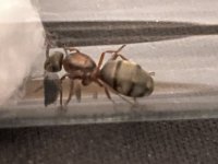 IMG_1211.jpeg