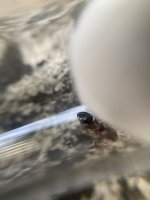 IMG_0160.jpeg