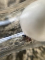 IMG_0159.jpeg