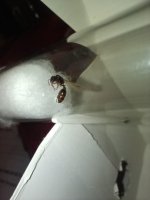 IMG_7013.jpeg