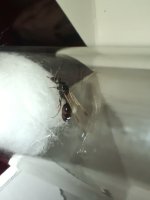IMG_7012.jpeg