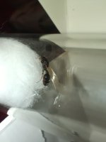 IMG_7011.jpeg