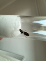 IMG_7932.jpeg