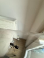 IMG_7931.jpeg