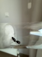 IMG_7930.jpeg