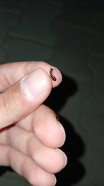 IMG_20250612_202939_129.jpg