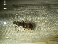 IMG_20250612_204345.jpg