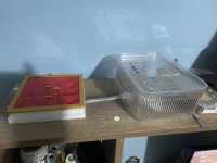 IMG_0708.jpeg