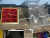 IMG_0709.jpeg