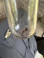 IMG_8883.jpeg