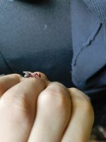 IMG_20250611_172333_116.jpg