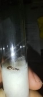 1000051730.jpg
