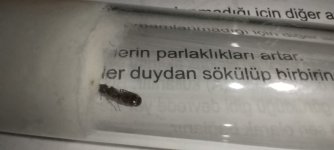 1000051725.jpg