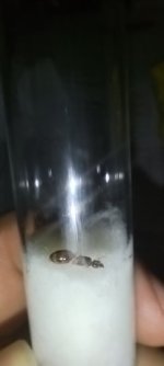 1000051729.jpg