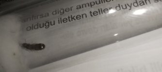 1000051723.jpg