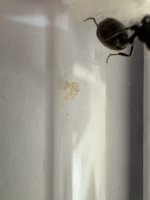 IMG_4406.jpeg