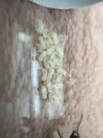 IMG_4361.jpeg