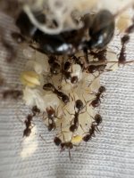 IMG_5091.jpeg