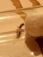 IMG_20250612_231352_258.jpg