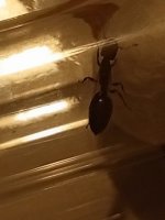 IMG_20250612_231259_903.jpg