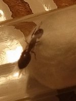 IMG_20250612_231249_658.jpg