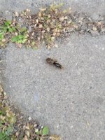 20250613_062929.jpg