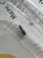 IMG_0007.jpeg