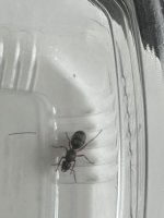 IMG_0011.jpeg