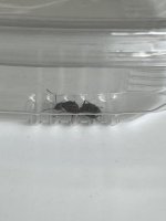 IMG_0009.jpeg
