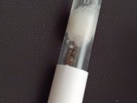 IMG_20250613_132031.jpg