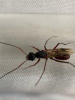 IMG_5029.jpeg