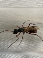 IMG_5028.jpeg